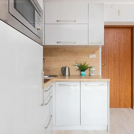 Sea Apartment Debki